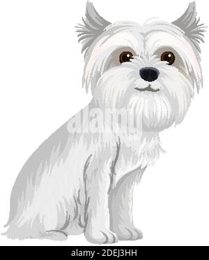 Maltese cartoon style on white background illustration Stock Vector