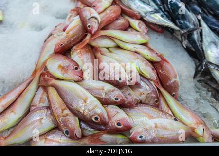 Muscat Fish The fish souk, in Muttrah, in Muscat, the capital of the Suktanate of ...