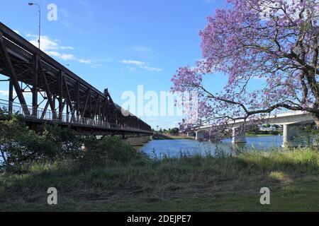 View of Old and New Grafton Bridge over the Clarence River Stock Photo