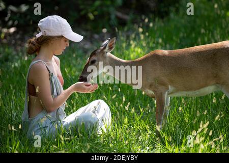 Young woman feed deers bambi. Cute wild animals concept. Stock Photo
