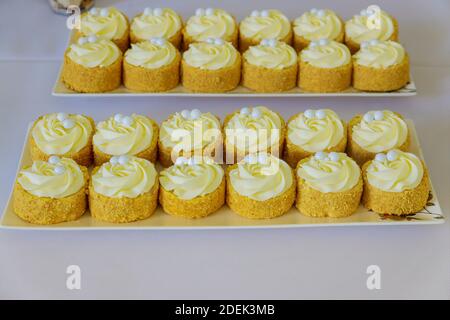 Mini dessert for a party table in restaurant. Catering sweets. Stock Photo