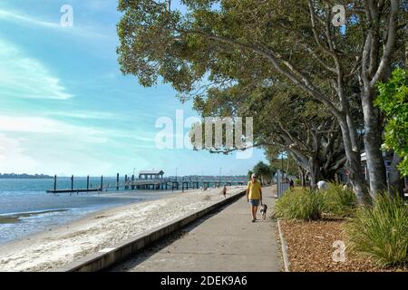Elderly man walking his dog on the seafront at popular Bongaree Beach, Bribie Island, Sunshine Coast, Queensland, QLD, Australia Stock Photo