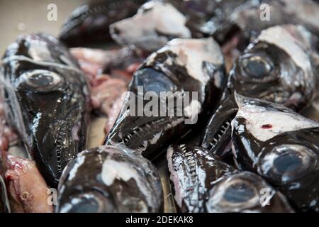 Black Scabbardfish heads in the fish market at the Mercado dos Lavradores in Funchal, Madeira, Portugal Stock Photo