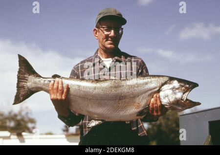 1970s Photo (1973) -  Fisherman displays a 35 pound chinook salmon caught by his wife on the lower Skagit River near La Connor in northern Puget Sound Stock Photo