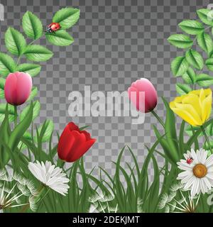 3d realistic vector fantasy beautiful green floral background square frame. With green loan grass and pink tulips with camomile and butterflies and la Stock Vector