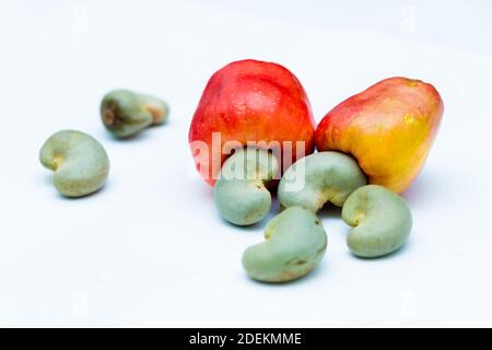 Cashew Fruit close up looks in White Background Stock Photo