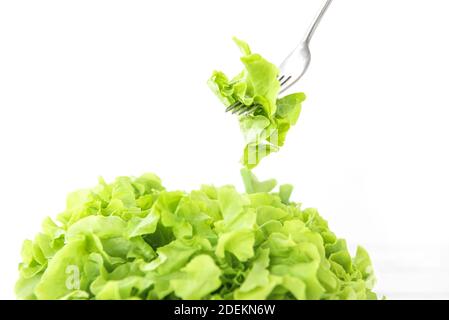 Fresh organic healthy green oak lettuce vegetable for salad, isolated on white background Stock Photo