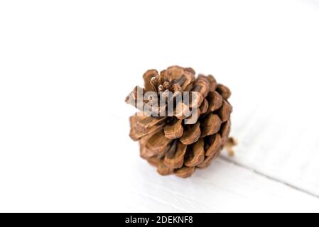 Dried small beautiful natural brown pine cone for Christmas decoration or craft on white wood background Stock Photo