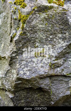 Ancient stone surface with green moss and lichen Stock Photo