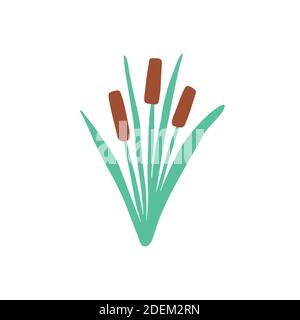 Reed in grass isolated element. Flat cane clipart Stock Vector