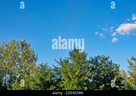 A device attached to the wires that conduct electricity prevents them from intertwining. Stock Photo