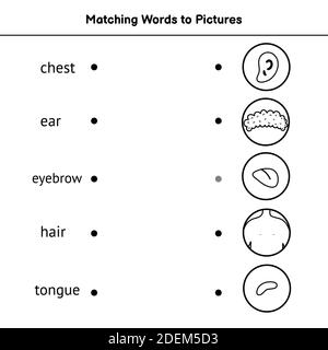 Match the words to pictures. Black and white coloring page Stock