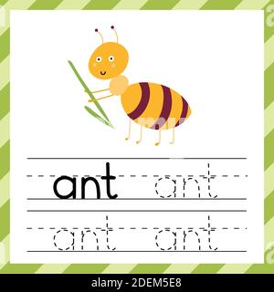 Tracing worksheet with the word -Ant. Learning material or flashcard for kids Stock Vector