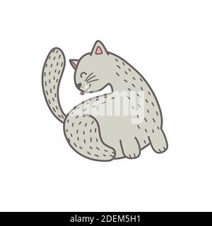 Cute grey cat licking his back isolated element. Feline character Stock Vector