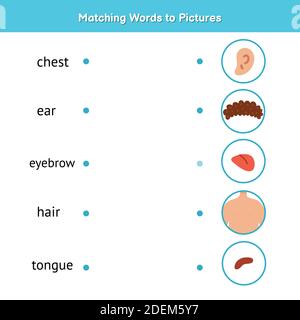 Match the words to pictures. Learn to read matching game for kids Stock Vector