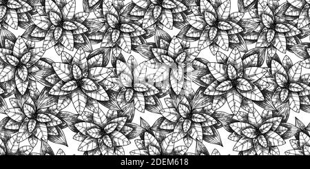 Christmas seamless pattern with plant. Poinsettia. Sketch vector Stock Vector