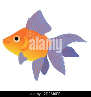 Vector illustration of a goldfish. Stock Vector