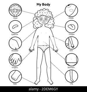 My body parts black and white educational poster with a girl. Learning human body Stock Vector