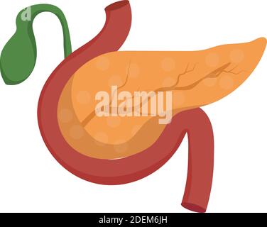 Pancreas icon in cartoon style isolated on white background. Organs symbol stock vector illustration Stock Vector