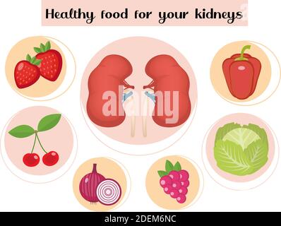 Healthy food for your kidneys infographic. Concept of food and vitamins, medicine, kidney disease prevention. Vector illustration Stock Vector