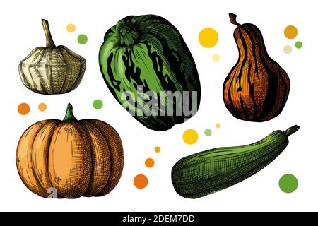 Hand drawn pumpkin set isolated on white background. Vector illustration of a sketch style. Stock Vector