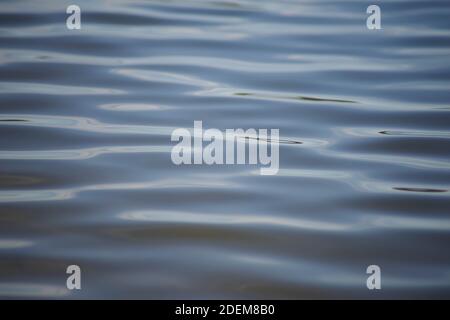 Cool blue abstract water surface with gentle ripples Stock Photo