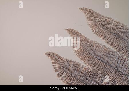 Golden palm leaves on beige background. Flat lay, top view. Christmas and new years background. Stock Photo