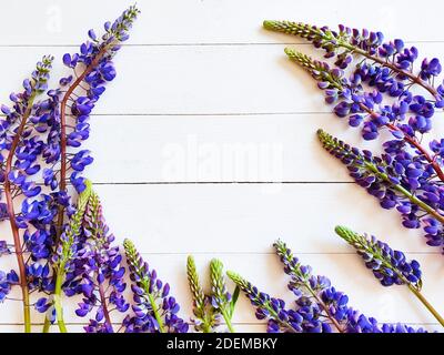 Flower frame of blue lupins on white wood background. Free space for your product or text. Floral flatlay, top view. Stock Photo