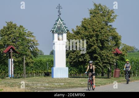 People on bikes among the vineyards enjoy a summer vacation in the picturesque landscape of South Moravia Czech Republic Stock Photo