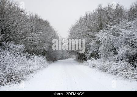 Winter landscape near Houten, the Netherlands Stock Photo