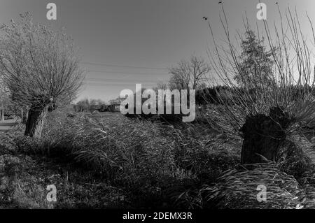 black and white pictures of the Gein river Stock Photo - Alamy