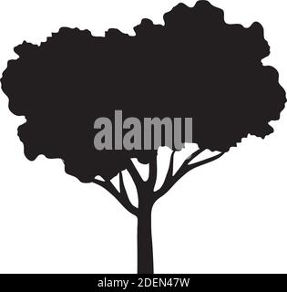 leaved tree plant silhouette style icon Stock Vector Image & Art - Alamy