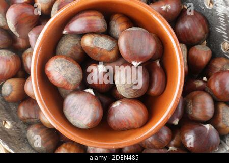 chestnut group as seasonal autumn fruit Stock Photo