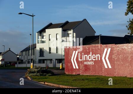 Linden housing,House, linden homes,Housing Development, New, UK, Design, Small, Brick, Red, British Culture, England, English Culture, Stock Photo