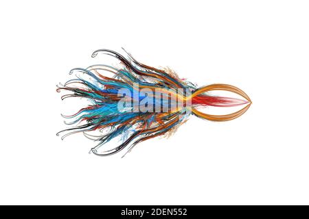 Abstract image of squid on a white background. Fractal drawing Stock Photo