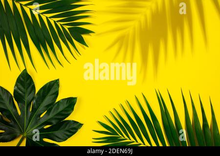 Green leaf exotic plants seamless. Art collage for floral print Stock Photo