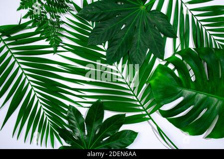 Green leaf exotic plants seamless. Art collage for floral print Stock Photo