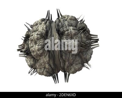 Abstract 3d image of the human brain, gray, on a white background Stock Photo