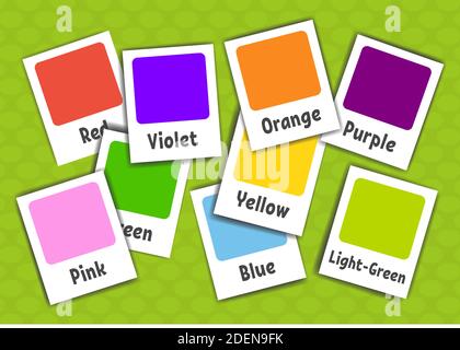 Flash cards. Learning colors. Vector illustration isolated on green background. Cartoon style. Stock Vector