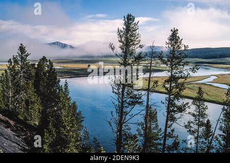 Low clouds over the valley of the Madison River in Yellowstone National Park in Wyoming, USA, with lodgepole pines in the foreground. Stock Photo