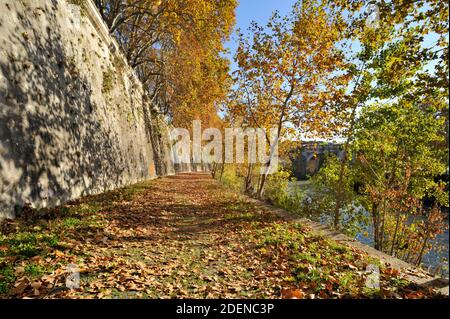 Italy, Rome, Tiber river, autumn trees Stock Photo