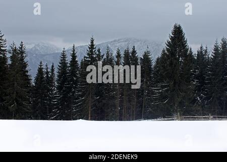 View from Gubalowka (1,126 m) on Tatry mountains in snowing day, Zakopane, Poalnd Stock Photo