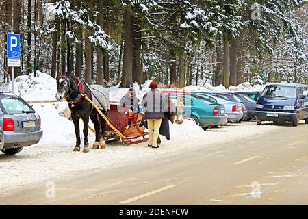 ZAKOPANE, POLAND - DECEMBER 31, 2010: Unidentified people on the horse cart in snowy Zakopane town Stock Photo