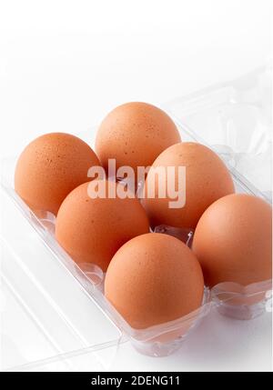Organic, cage free brown eggs in a clear carton on a white background Stock Photo