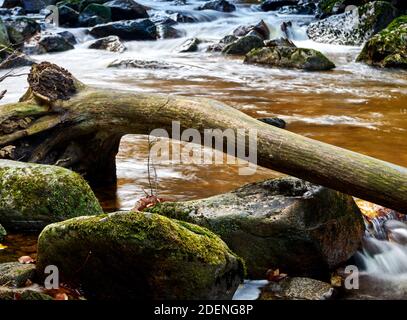 Bald tree trunk without bark lies on rounded stones over a deliberately defocused stream Stock Photo