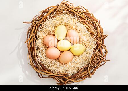 Rural Easter composition with colorful eggs in nest Stock Photo