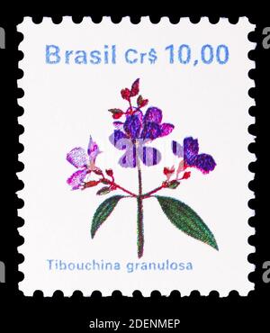 MOSCOW, RUSSIA - JUNE 28, 2020: Postage stamp printed in Brazil shows Brazilian Flora, Tibouchina granulosa, Flora serie, circa 1990 Stock Photo