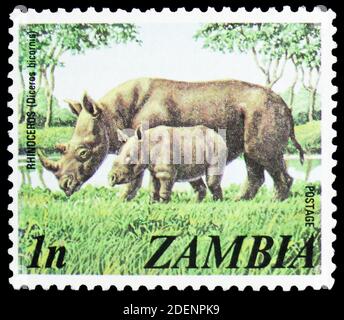 MOSCOW, RUSSIA - JUNE 28, 2020: Postage stamp printed in Zambia shows Black Rhinoceros (Diceros bicornis) and calf, Definitives 1975-1981 serie, circa Stock Photo
