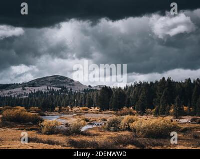 A river, autumn foliage, pine trees and a mountain under dramatic, stormy skies with light shining through the clouds at Tuolumne Meadows in Yosemite Stock Photo