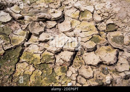 Cracked dry soil in countryside Stock Photo